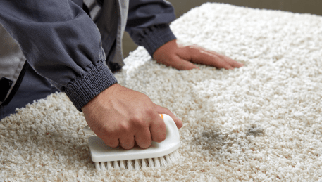 Professional Rug Cleaning Gladysdale